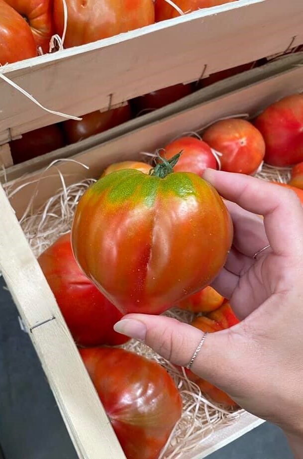 riesen tomate querfeld